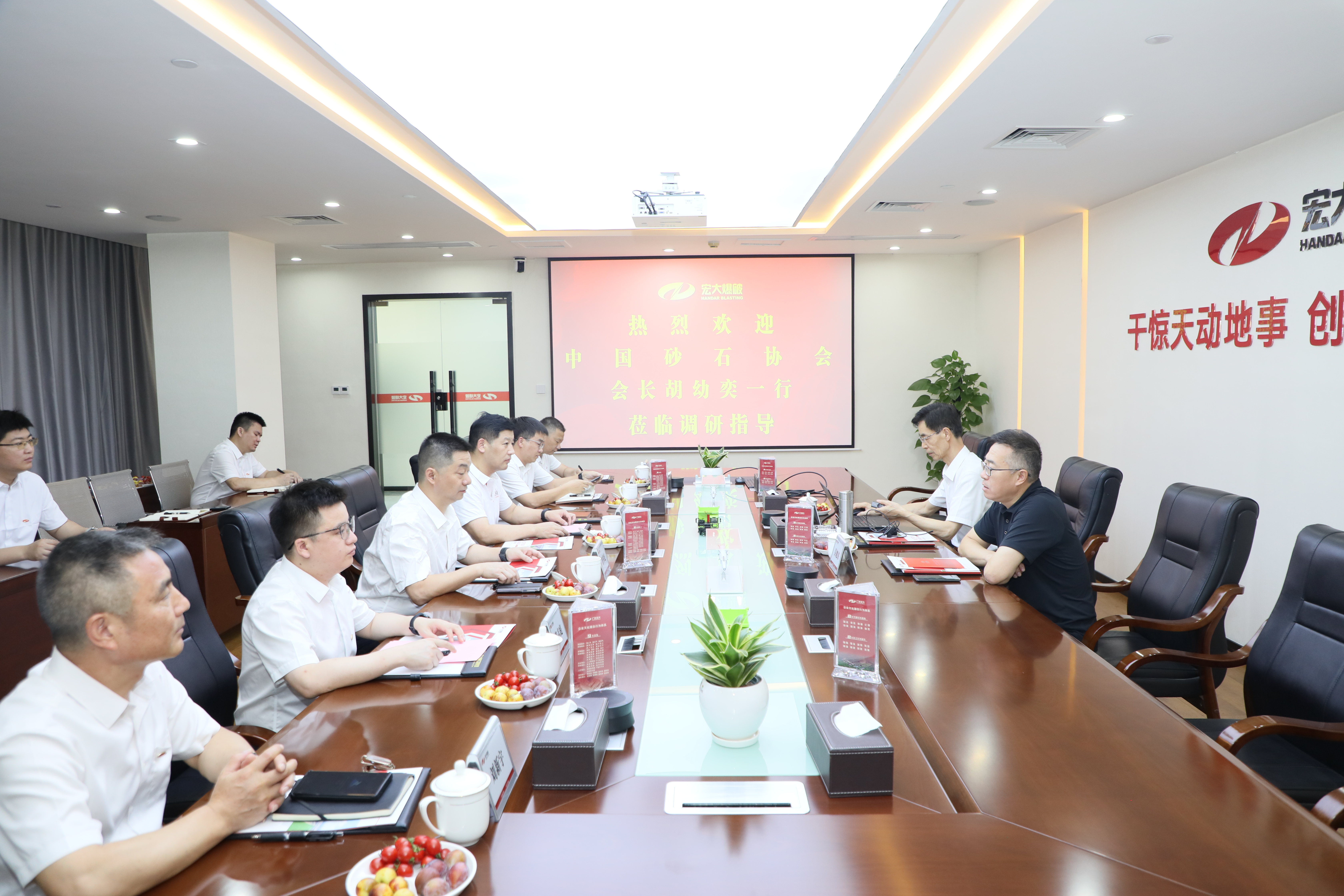 中国砂石协会胡幼奕到访宏大爆破调研交流